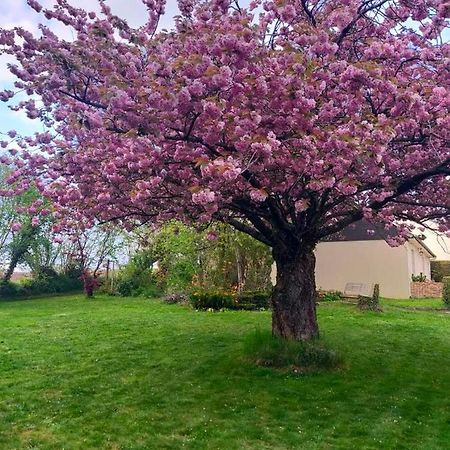 فيلا Maison Chaleureuse Avec Insert En Campagne Saint-Mars-sur-la-Futaie المظهر الخارجي الصورة