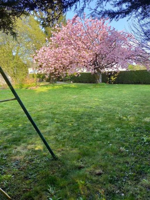 فيلا Maison Chaleureuse Avec Insert En Campagne Saint-Mars-sur-la-Futaie المظهر الخارجي الصورة