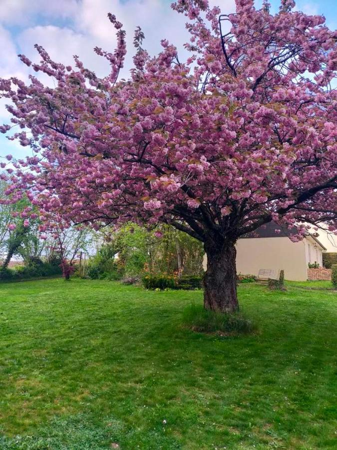 فيلا Maison Chaleureuse Avec Insert En Campagne Saint-Mars-sur-la-Futaie المظهر الخارجي الصورة